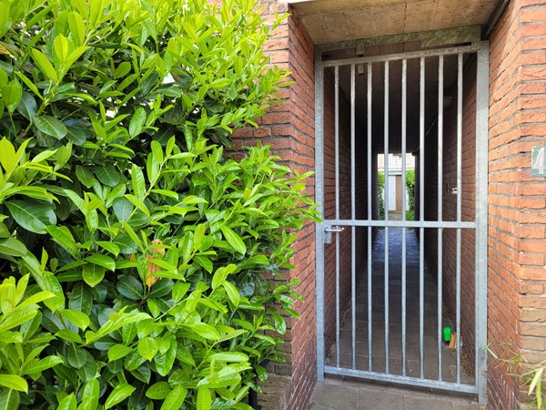 Medium property photo - Spaarwaterstraat 42, 2593 RN The Hague